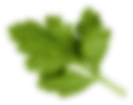 h2img9 Beechocolate | El Yapımı Çikolata ve Kişiye Özel Lezzetler Beechocolate | El Yapımı Çikolata ve Kişiye Özel Lezzetler